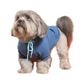 Moletom Partiu Rolê Azul para Cães Emporium Distripet